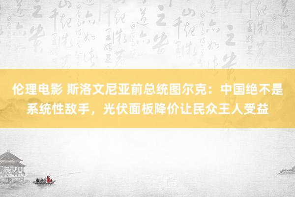 伦理电影 斯洛文尼亚前总统图尔克：中国绝不是系统性敌手，光伏面板降价让民众王人受益