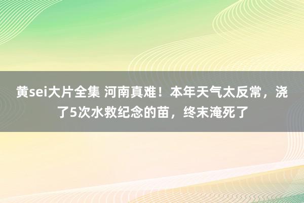 黄sei大片全集 河南真难！本年天气太反常，浇了5次水救纪念的苗，终末淹死了