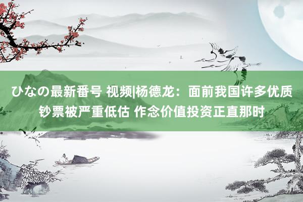 ひなの最新番号 视频|杨德龙：面前我国许多优质钞票被严重低估 作念价值投资正直那时