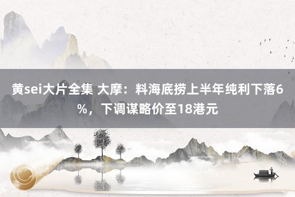 黄sei大片全集 大摩：料海底捞上半年纯利下落6%，下调谋略价至18港元