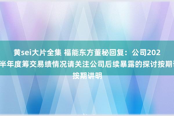 黄sei大片全集 福能东方董秘回复：公司2024年半年度筹交易绩情况请关注公司后续暴露的探讨按期讲明