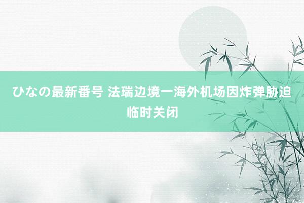 ひなの最新番号 法瑞边境一海外机场因炸弹胁迫临时关闭