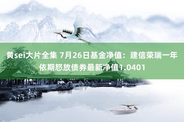 黄sei大片全集 7月26日基金净值：建信荣瑞一年依期怒放债券最新净值1.0401