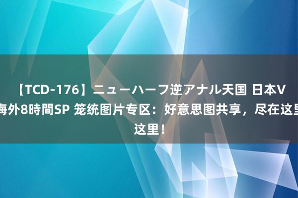 【TCD-176】ニューハーフ逆アナル天国 日本VS海外8時間SP 笼统图片专区：好意思图共享，尽在这里！