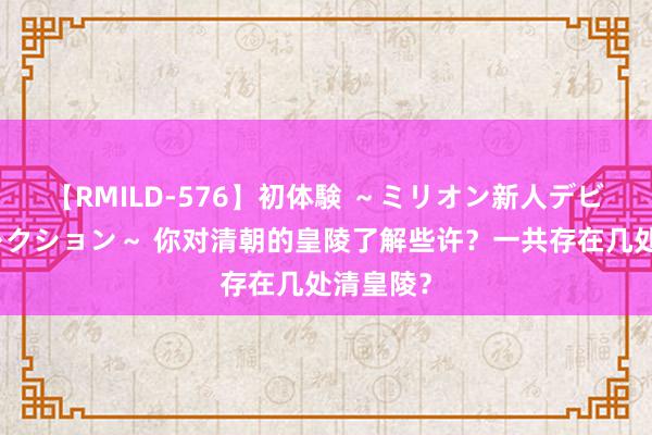 【RMILD-576】初体験 ～ミリオン新人デビューコレクション～ 你对清朝的皇陵了解些许？一共存在几处清皇陵？