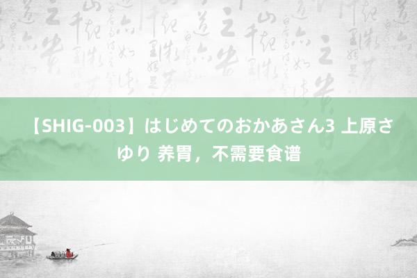 【SHIG-003】はじめてのおかあさん3 上原さゆり 养胃，不需要食谱