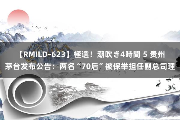 【RMILD-623】極選！潮吹き4時間 5 贵州茅台发布公告：两名“70后”被保举担任副总司理