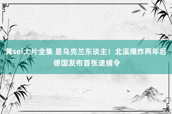 黄sei大片全集 是乌克兰东谈主！北溪爆炸两年后 德国发布首张逮捕令