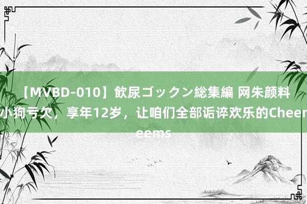 【MVBD-010】飲尿ゴックン総集編 网朱颜料包小狗亏欠，享年12岁，让咱们全部诟谇欢乐的Cheems