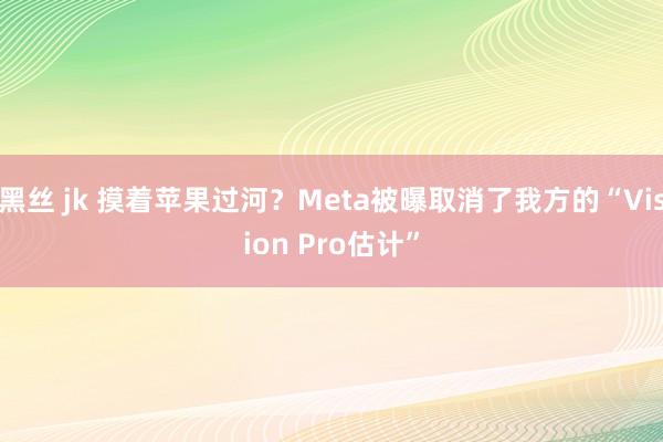 黑丝 jk 摸着苹果过河？Meta被曝取消了我方的“Vision Pro估计”