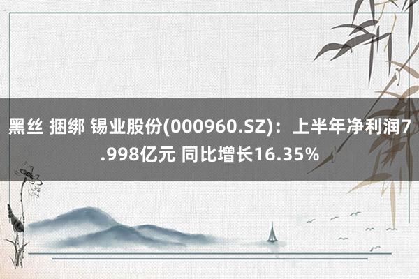 黑丝 捆绑 锡业股份(000960.SZ)：上半年净利润7.998亿元 同比增长16.35%