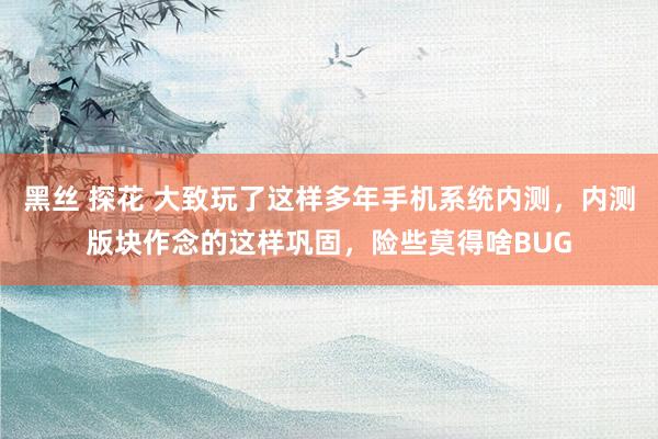 黑丝 探花 大致玩了这样多年手机系统内测，内测版块作念的这样巩固，险些莫得啥BUG