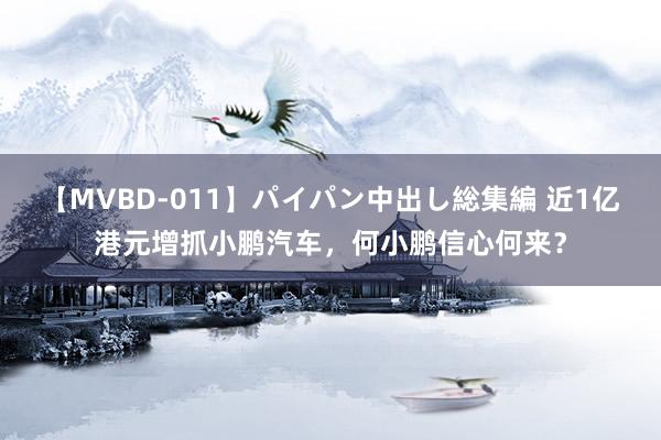 【MVBD-011】パイパン中出し総集編 近1亿港元增抓小鹏汽车，何小鹏信心何来？